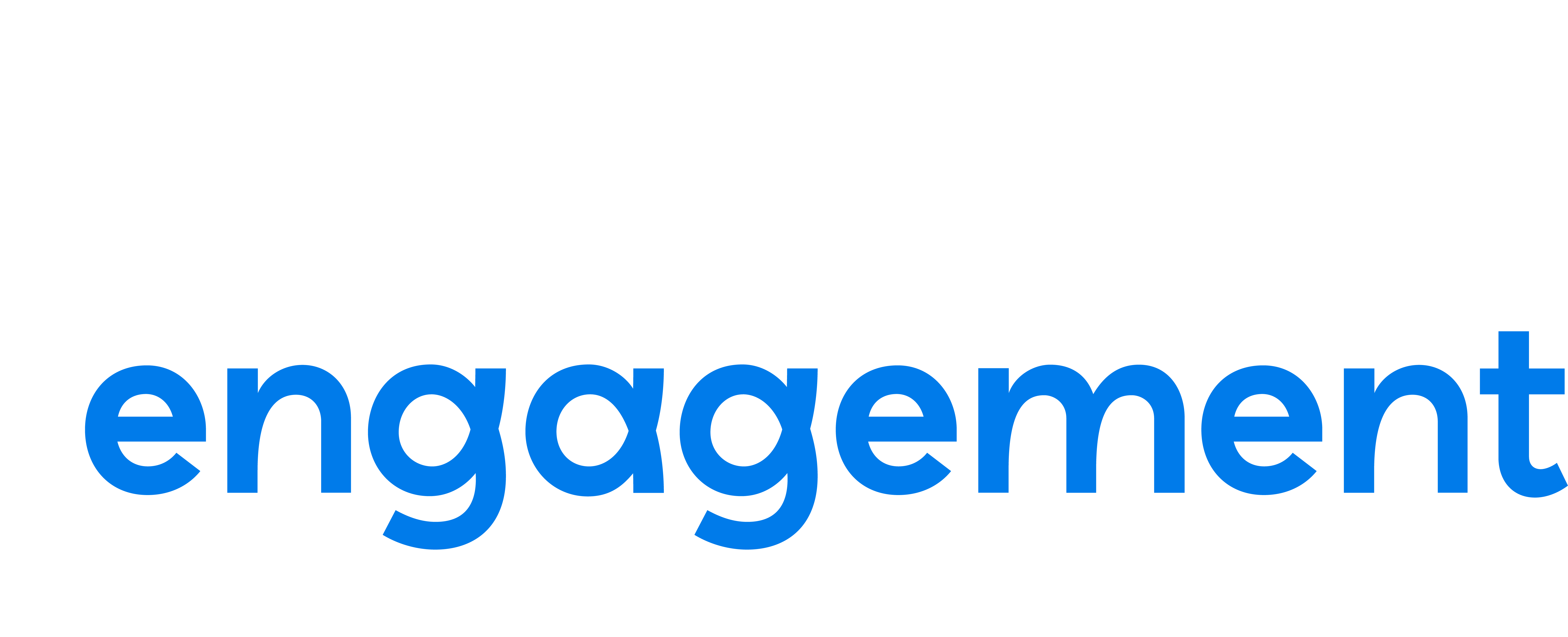 People Engagement Survey | Grupo Brisa